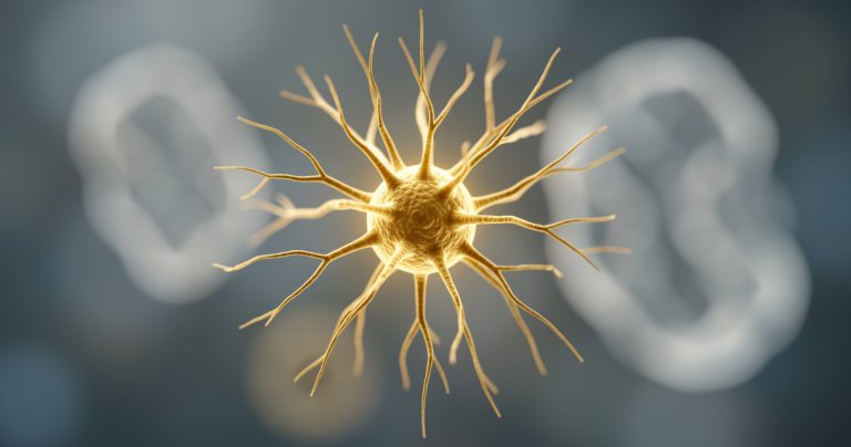 Alzheimer : Une nouvelle piste pour protéger les neurones